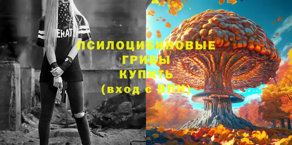прущая мука Костерёво